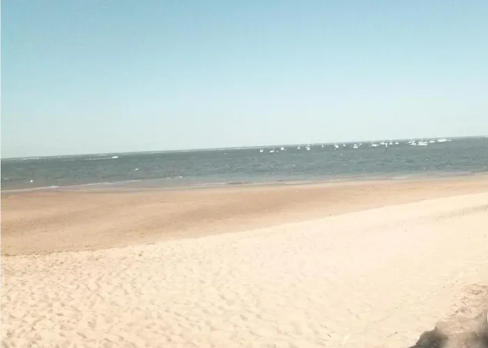 아파트 Sympa 아르카숑